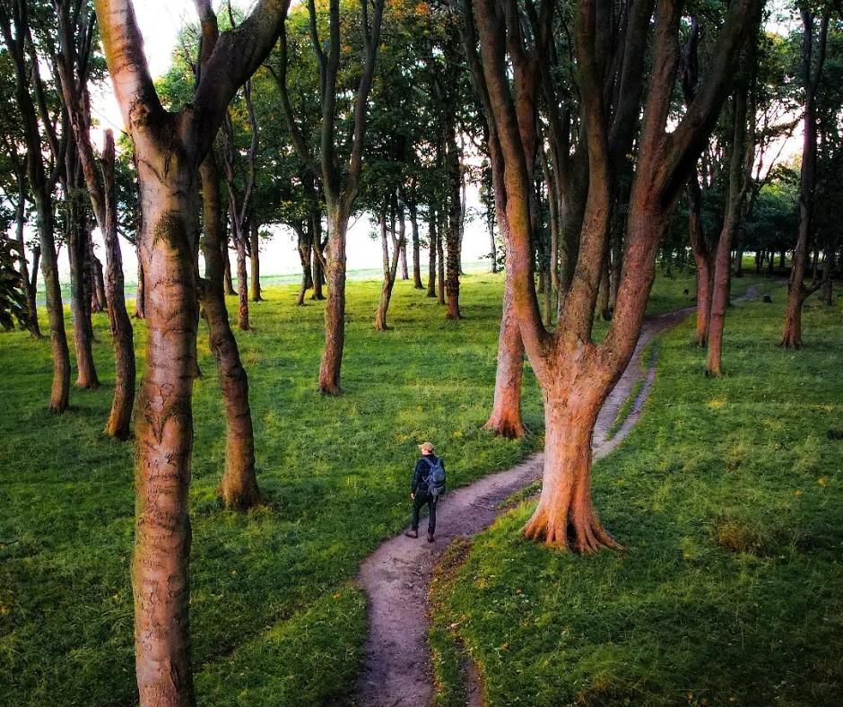 Visit Dublin Tourist Office Dublin Town